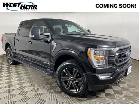 Used 2021 Ford F150 XLT w/ Equipment Group 302A High AWD/4WD image 1