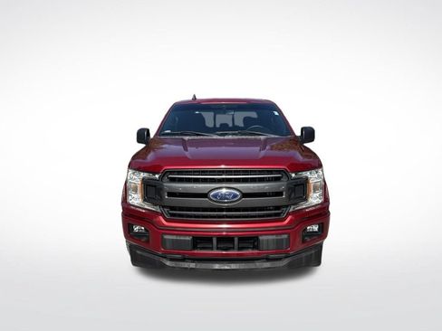 Used 2019 Ford F150 XLT w/ Equipment Group 302A Luxury RWD image 3