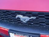 Certified 2021 Ford Mustang Coupe w/ Equipment Group 101A image 4