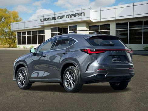 Used 2025 Lexus NX 350h AWD w/ Cold Area Package image 3