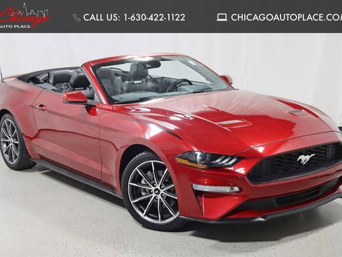 Used 2019 Ford Mustang Premium w/ Equipment Group 201A image 1