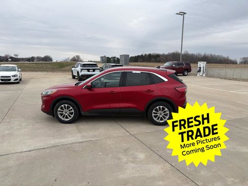 Used 2020 Ford Escape SE image 2