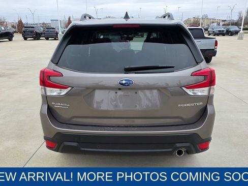 Used 2024 Subaru Forester Limited image 4