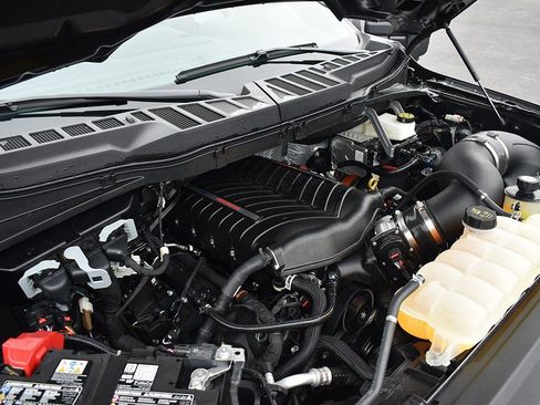 New 2025 Ford F150 XLT w/ Equipment Group 302A MID image 28