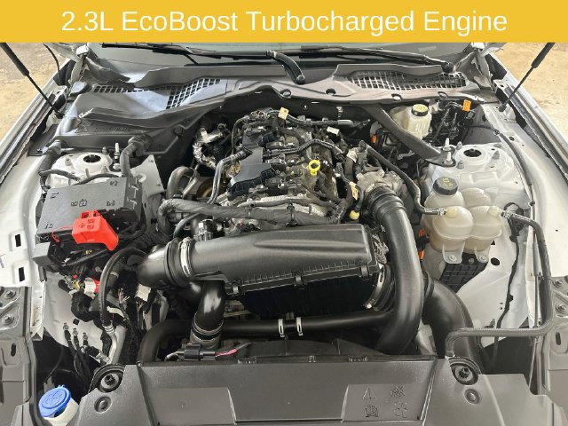 Used 2024 Ford Mustang Premium RWD image 31