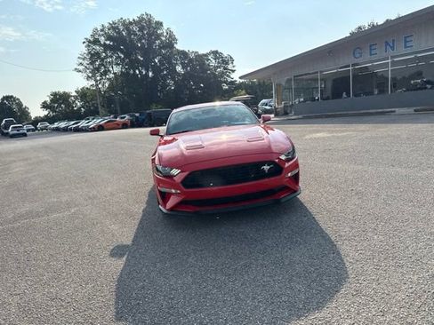 Used 2019 Ford Mustang GT Premium w/ California Special Package RWD image 8