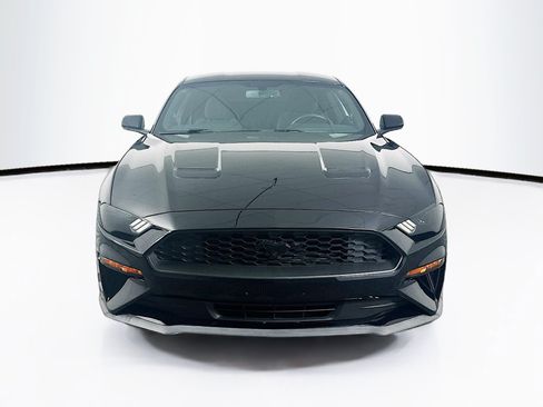 Used 2019 Ford Mustang Coupe w/ Black Accent Package RWD image 2