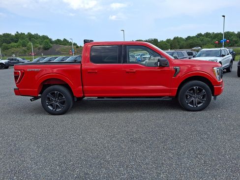 Used 2023 Ford F150 XLT w/ Equipment Group 302A High AWD/4WD image 8