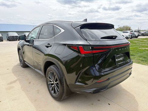 Used 2024 Lexus NX 350h AWD w/ Cold Area Package image 4