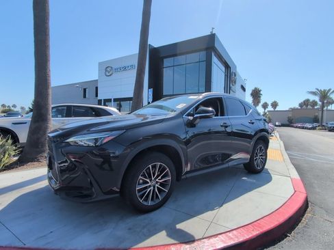 Used 2024 Lexus NX 350h AWD image 4