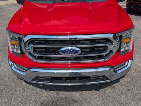 Used 2023 Ford F150 XLT w/ Equipment Group 302A High AWD/4WD image 12