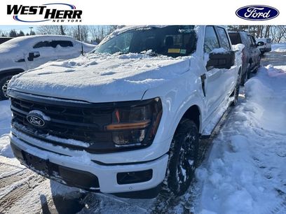 Used 2025 Ford F150 XLT w/ Equipment Group 302A MID