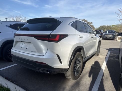 New 2025 Lexus NX 250 NX 250 w/ Accessory Package (Z1) image 6