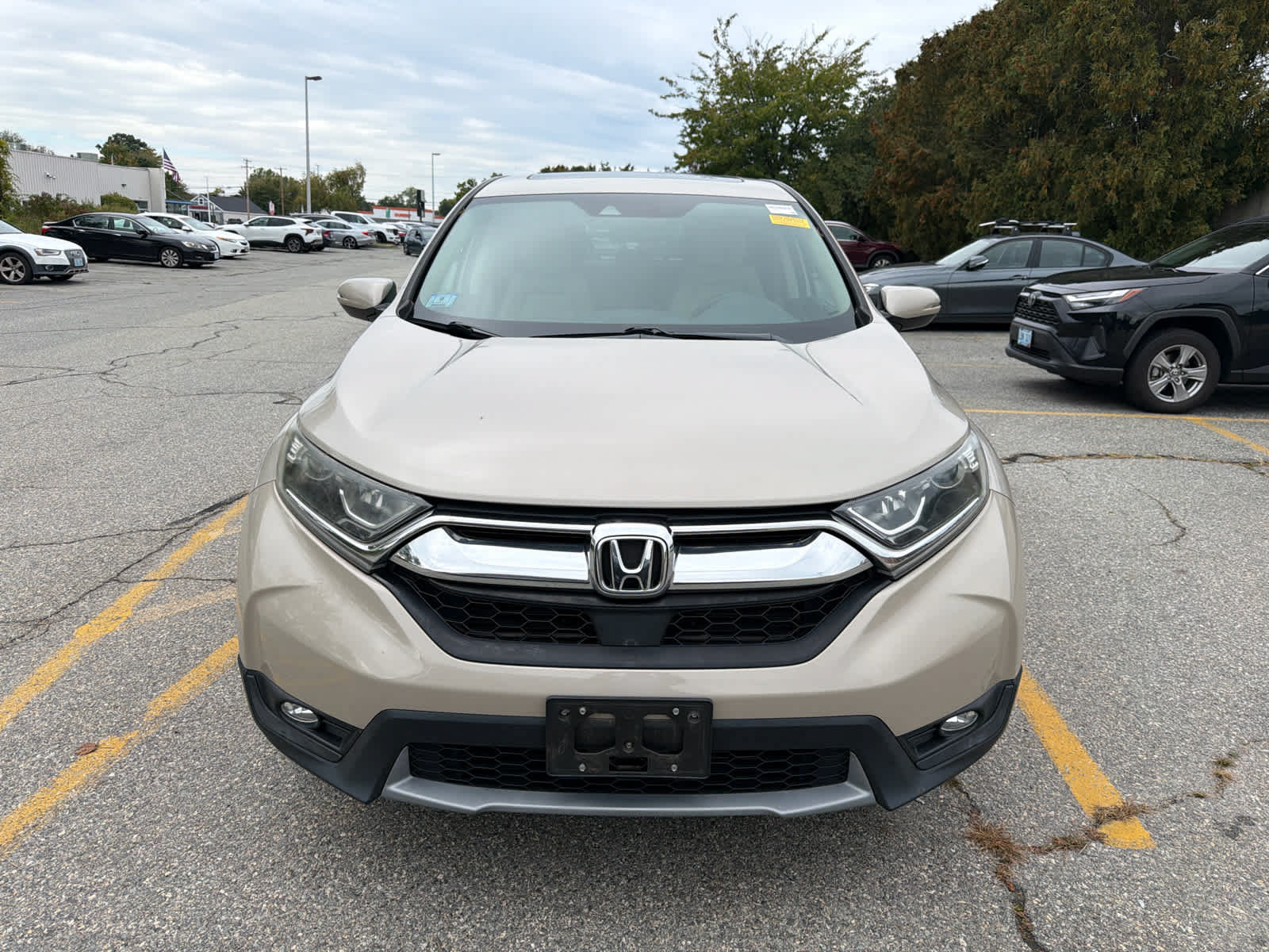Used 2019 Honda CR-V EX image 6