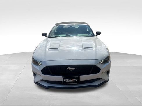 Used 2019 Ford Mustang GT Premium w/ Equipment Group 401A RWD image 2