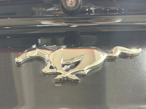 Used 2022 Ford Mustang Premium w/ Security Package image 12