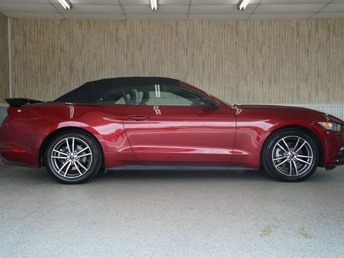 Used 2017 Ford Mustang Premium RWD image 6