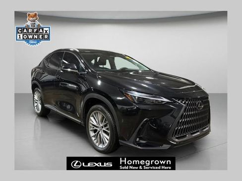 Certified 2025 Lexus NX 350 AWD w/ Premium Package image 1