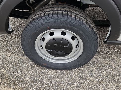 New 2026 Ford Transit 250 w/ Load Area Protection Package image 5