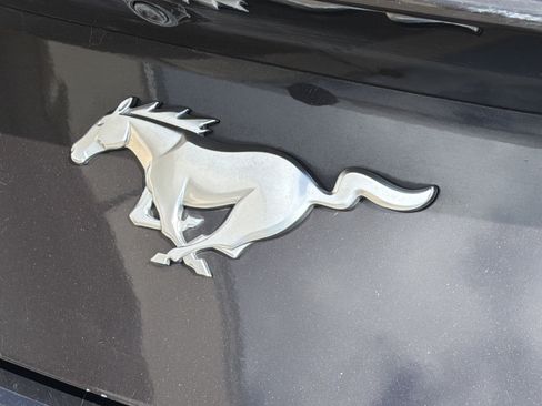 Used 2024 Ford Mustang Premium RWD image 11