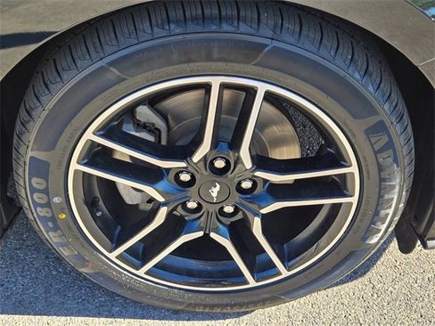 Used 2021 Ford Mustang Coupe w/ Equipment Group 101A image 9