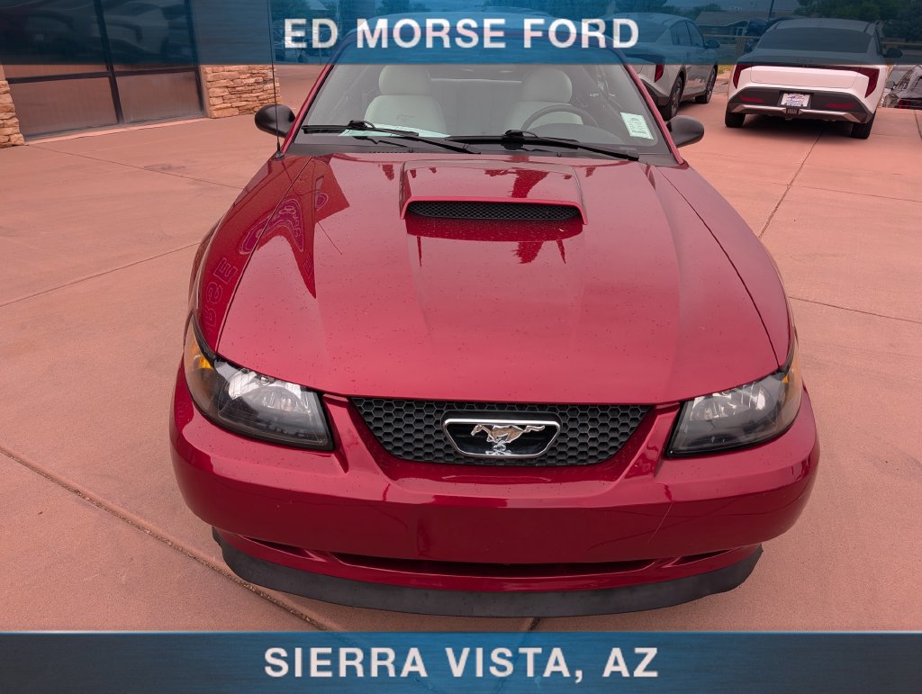 Used 2004 Ford Mustang GT RWD image 8