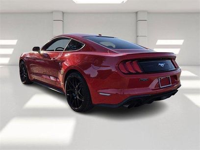 Used 2019 Ford Mustang Coupe w/ Equipment Group 101A