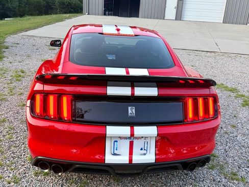 Used 2016 Ford Mustang Shelby GT350 w/ Technology Package RWD image 4