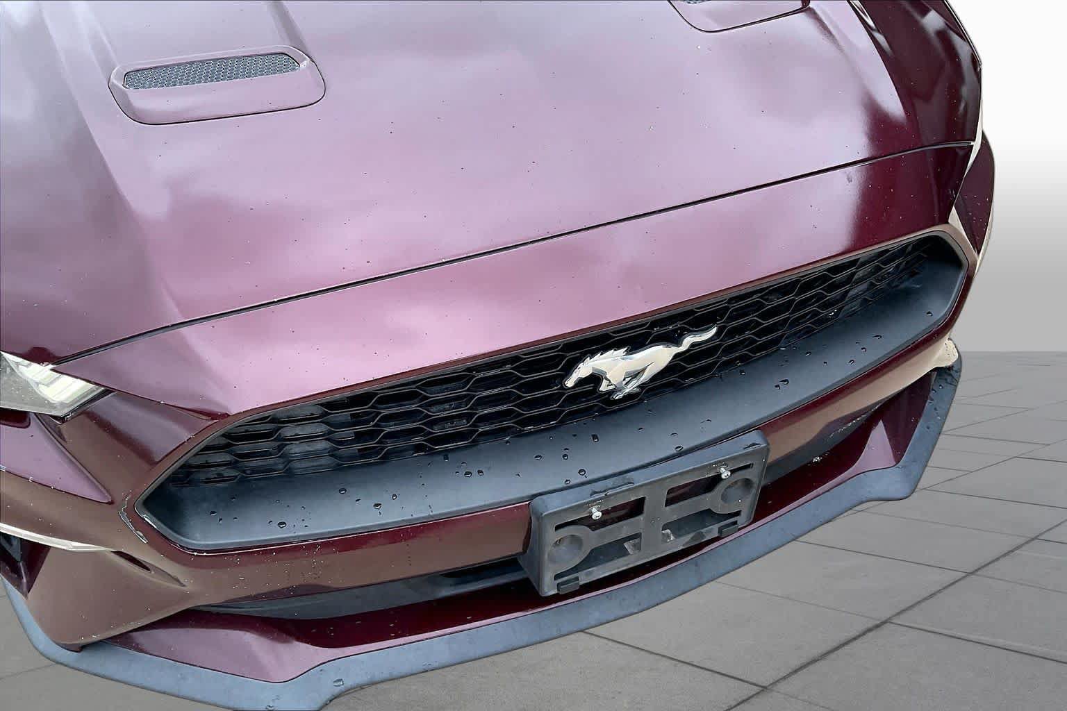 Used 2018 Ford Mustang Premium w/ Equipment Group 201A RWD image 27