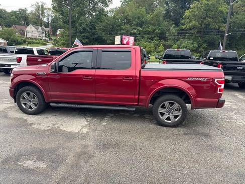 Used 2019 Ford F150 XLT w/ Equipment Group 302A Luxury AWD/4WD image 3