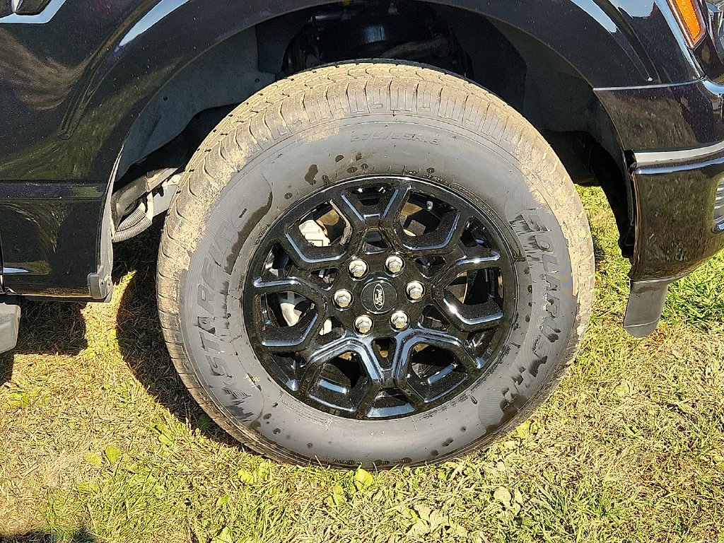 Used 2024 Ford F150 XLT w/ Mobile Office Package AWD/4WD image 8