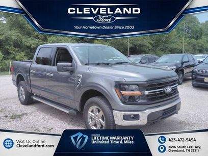 Used 2025 Ford F150 XLT w/ Equipment Group 301A Standard