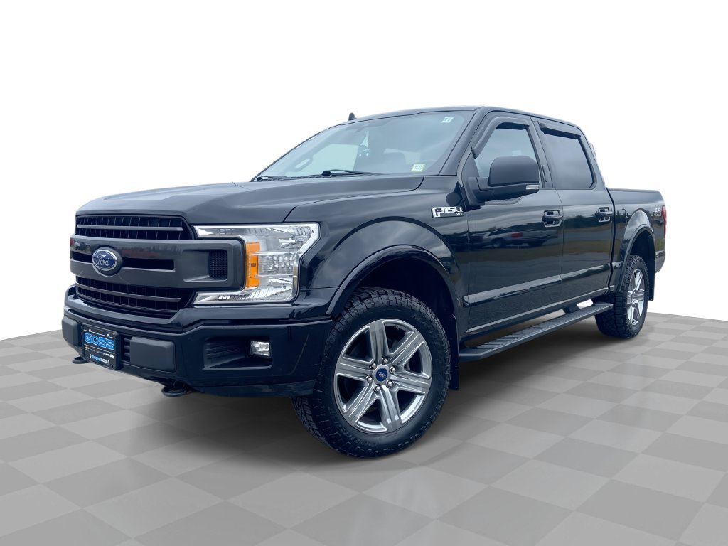 Used 2019 Ford F150 XLT w/ Equipment Group 302A Luxury AWD/4WD image 1