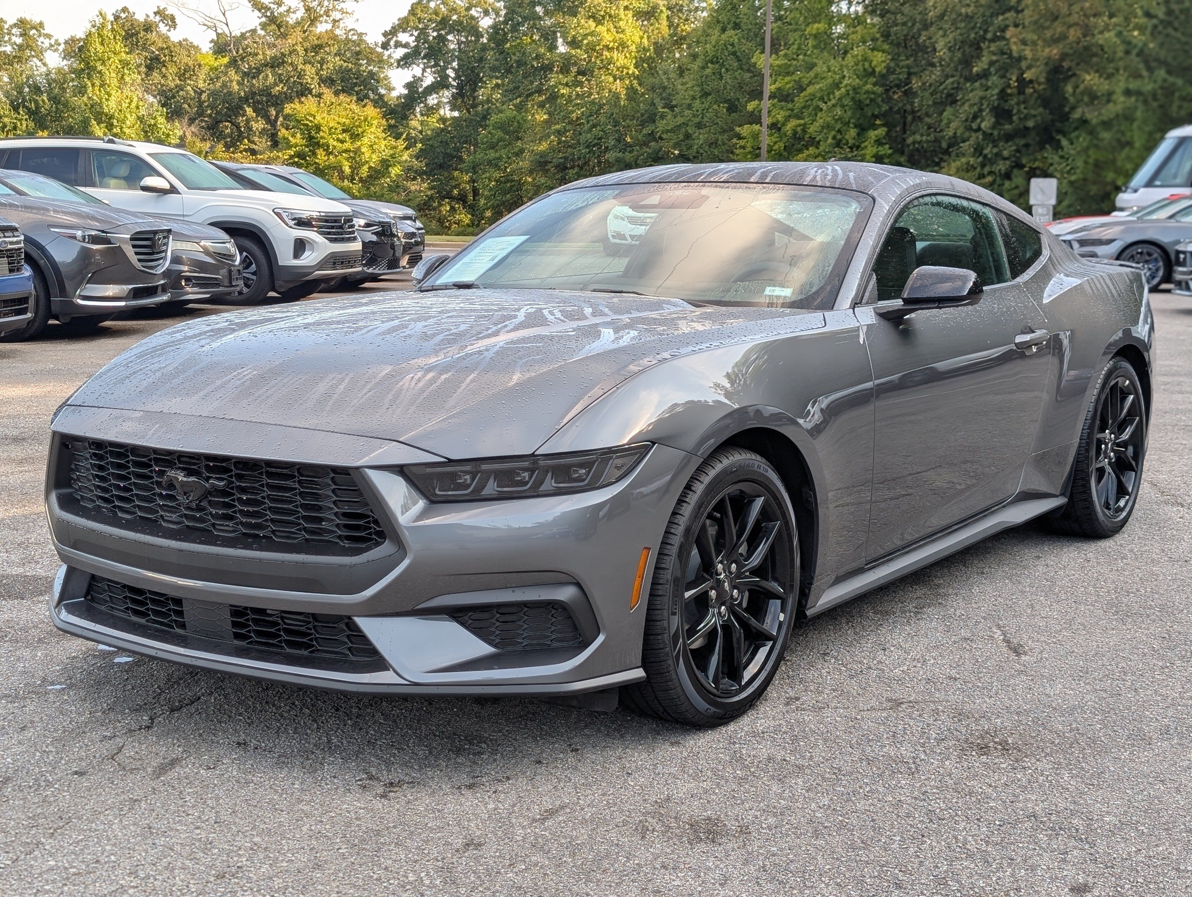 Used 2026 Ford Mustang Coupe w/ Mustang Nite Pony Package RWD image 5