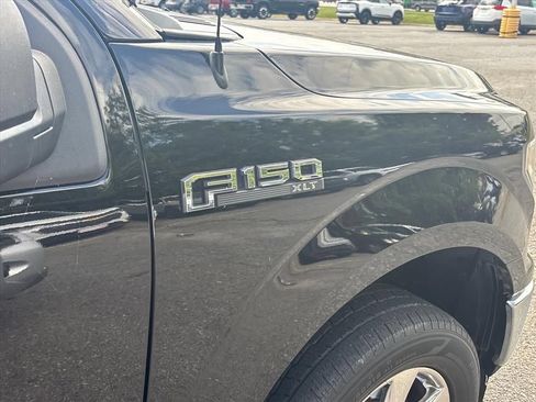 Used 2019 Ford F150 XLT w/ Equipment Group 302A Luxury AWD/4WD image 7