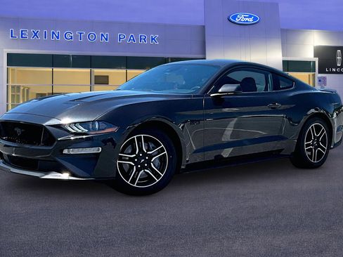 Certified 2023 Ford Mustang GT w/ Equipment Group 301A RWD image 3