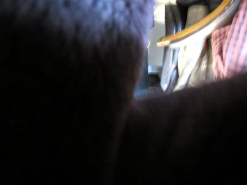 Used 2020 Nissan Kicks S image 28