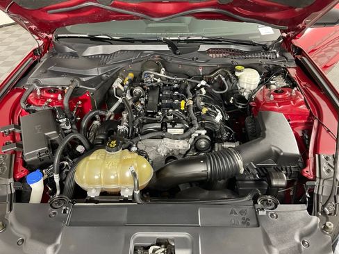 Used 2021 Ford Mustang Coupe w/ Equipment Group 101A RWD image 9