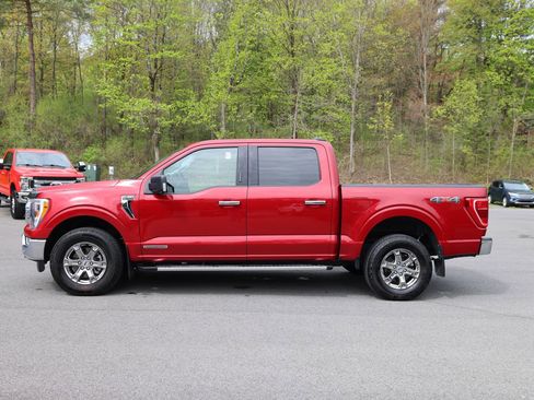 Used 2022 Ford F150 XLT w/ Equipment Group 302A High AWD/4WD image 8