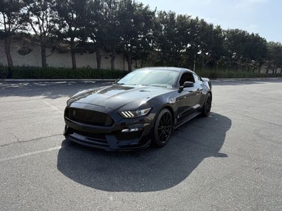 Used 2018 Ford Mustang Shelby GT350 w/ Electronics Package