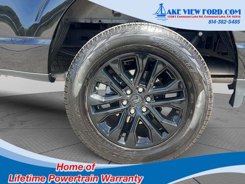 Used 2025 Ford F150 XLT w/ Equipment Group 303A High AWD/4WD image 5
