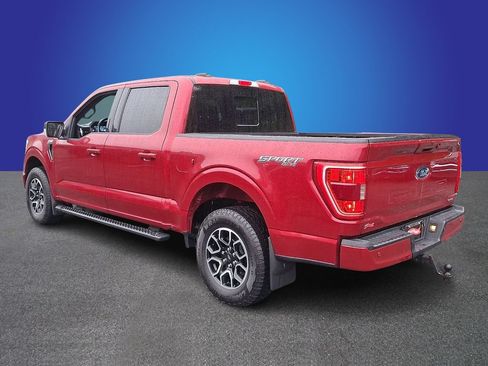 Used 2022 Ford F150 XLT w/ Equipment Group 302A High AWD/4WD image 6