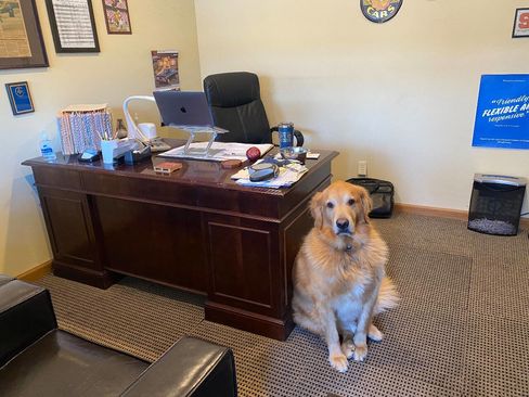 Used 2016 INFINITI QX60 AWD w/ Premium Plus Package image 40