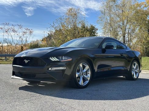 Used 2018 Ford Mustang Premium w/ Equipment Group 201A image 3
