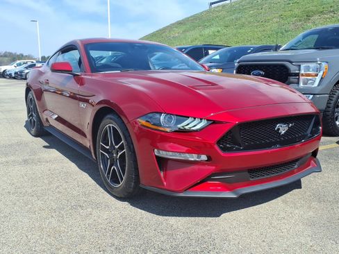 Used 2021 Ford Mustang GT w/ Equipment Group 301A image 1