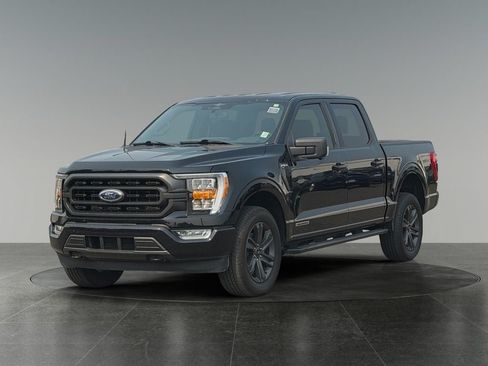 Used 2023 Ford F150 XLT w/ Equipment Group 302A High AWD/4WD image 3