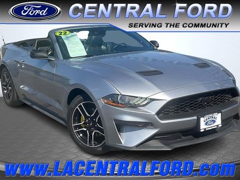 Certified 2022 Ford Mustang Premium image 1