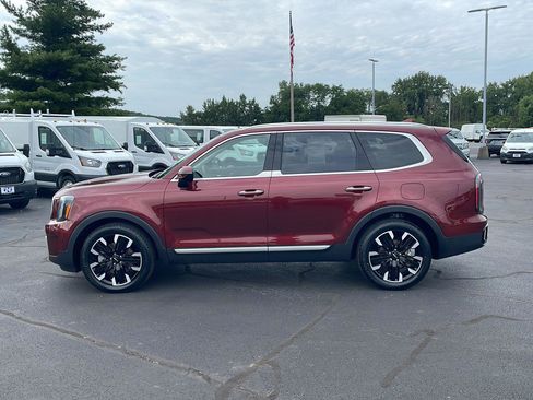Used 2024 Kia Telluride SX Prestige AWD/4WD image 2