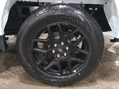 New 2025 Ford F150 STX w/ STX Black Appearance Package image 24