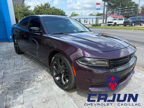 Used 2020 Dodge Charger SXT w/ Blacktop Package RWD image 5